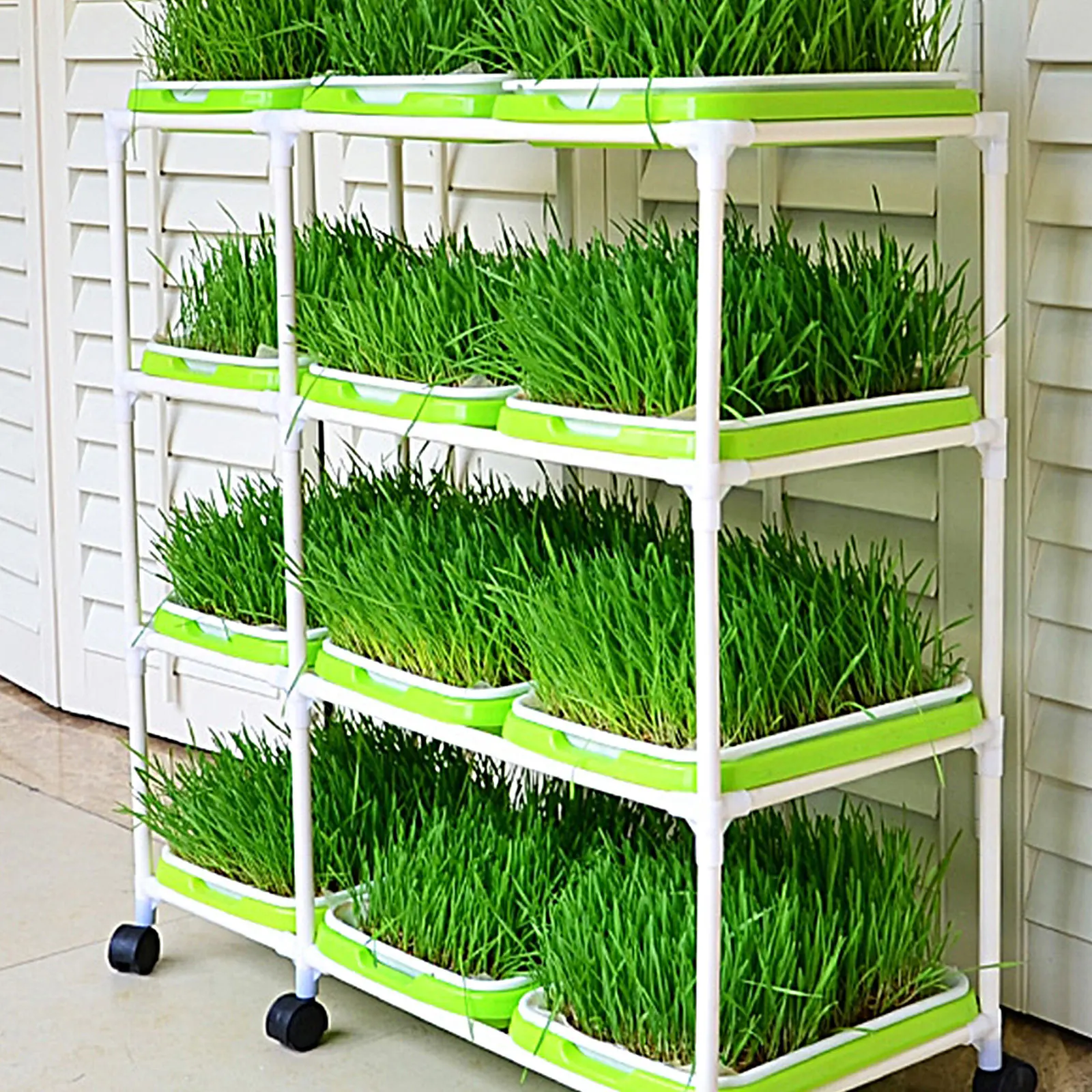 

4Set Sprouting Basin Premium PP Material Soilless Tray for Wheatgrass Soybean Mung Bean Peanut Black Bean Microgreens Home