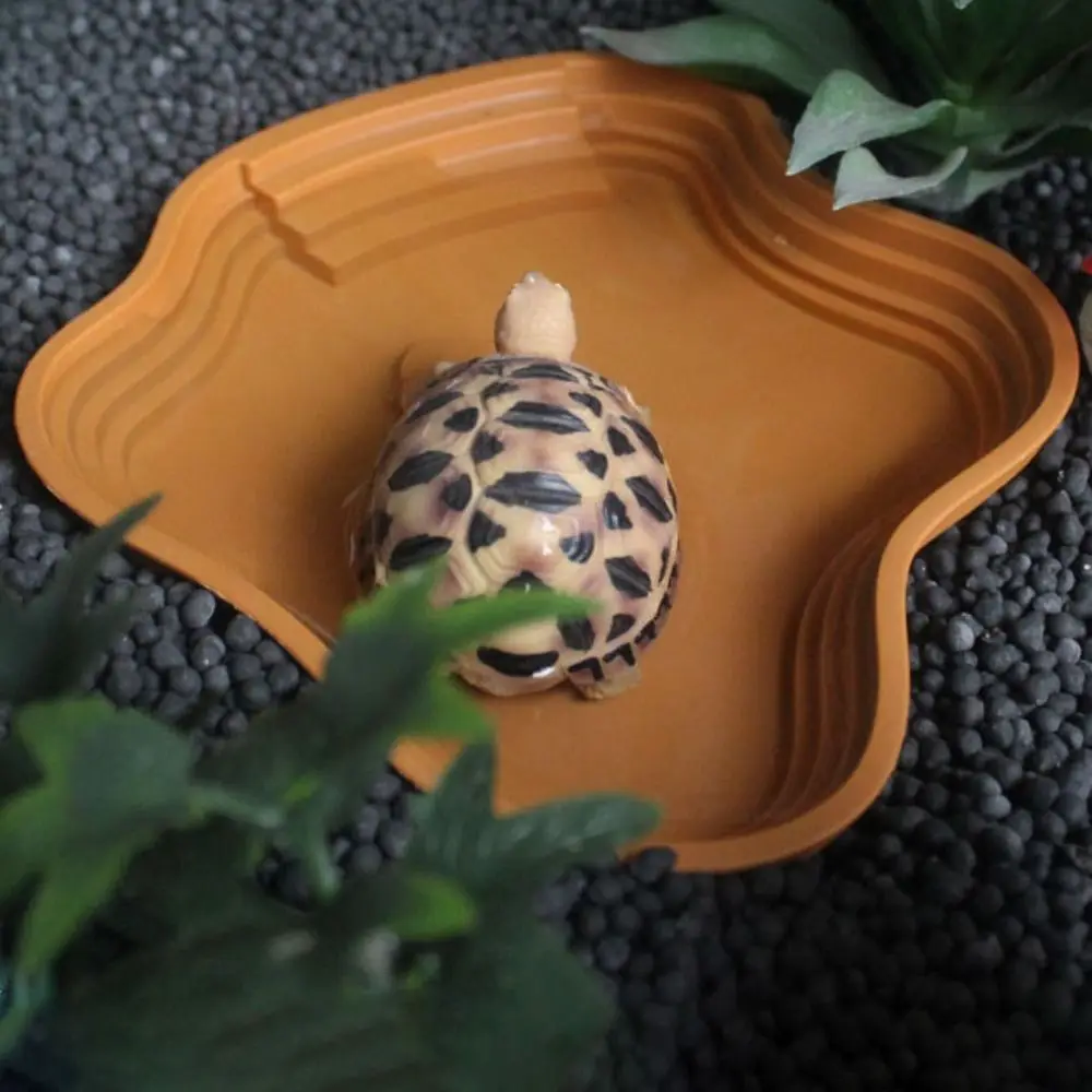 

Durable Stair Design Turtle Bathing Basin Plastic Anti-Slip Reptiles Water Basin Thickened Large Size Amphibian Water Bowl Frog