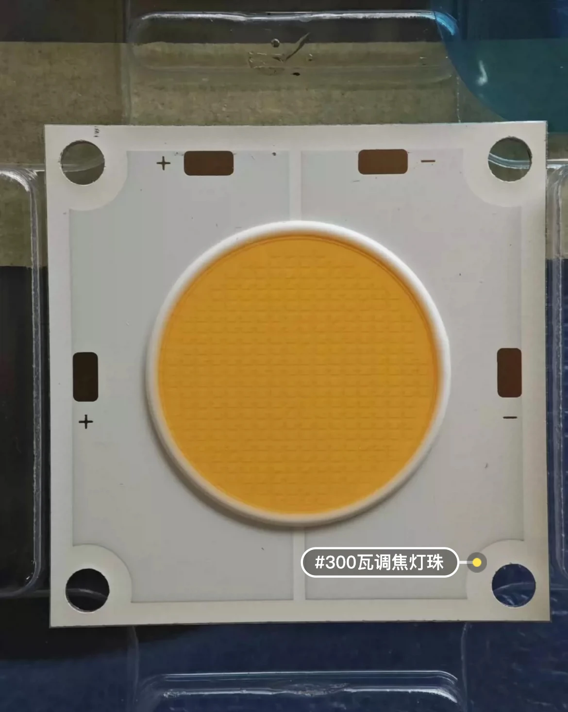 300w穂軸ランプビーズ、ライブストリーミングと写真用の連続フィルライト、調整可能なフォーカス