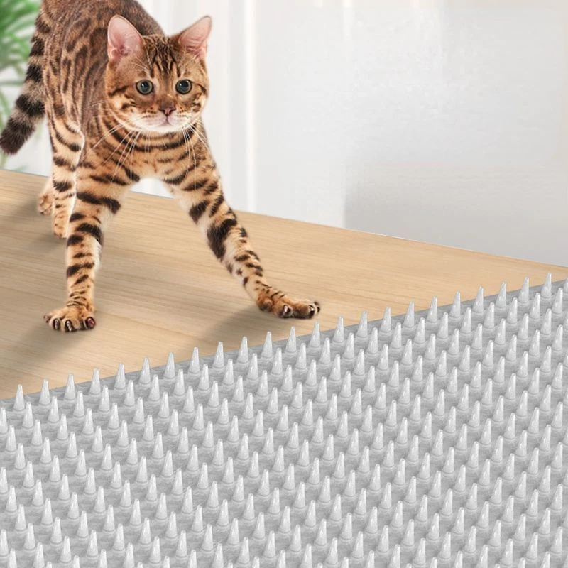 Outdoor Anti-Cat e Dog Thorn Mat, Fezes Protege Plantas, Pássaro Repeller Spikes, Fontes de Jardim, 1Pc, 3 Pcs, 1Pc