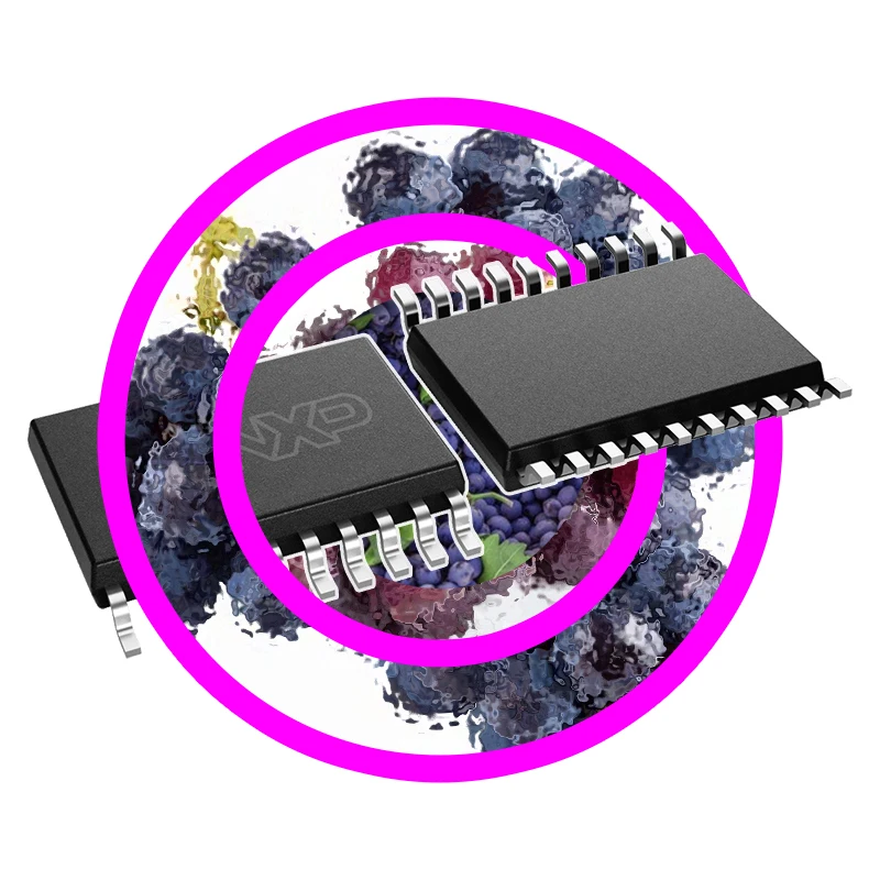 

(1PCS) PCA9545APW PCA9544APW,118 LPC802M001JDH20J PCF7926ATT/C1AC0700 PCA9545APW,118 PCA9634PW,118 New