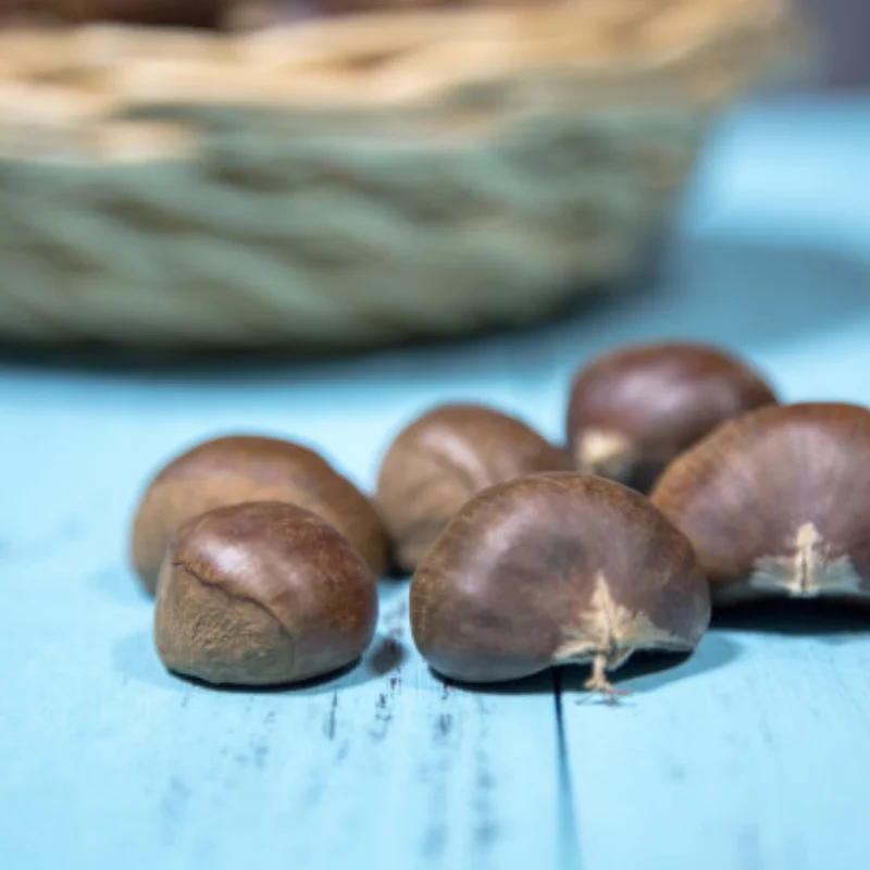 

RC Car Upgrade Parts Drive Motor Fixed Parts Fit for Wltoys 244016 LOSI Micro-B 1/24 Remote Control Car Accessories