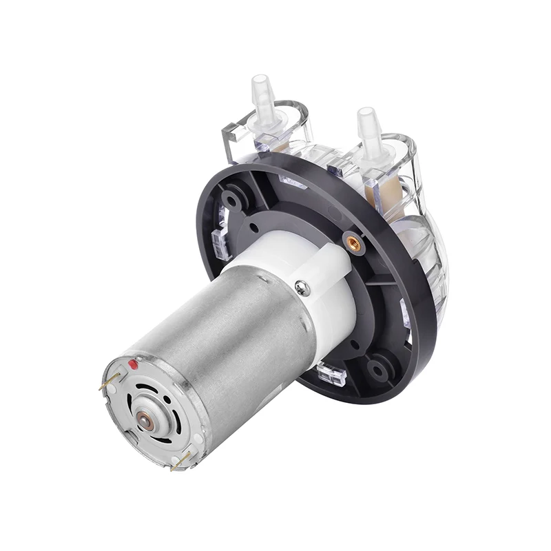 PENGPU 500mLPM 12 فولت 24 فولت مضخة تمعجية صغيرة صغيرة صغيرة أنبوب BPT لمضخات جرعات المياه السائلة من الدرجة الغذائية