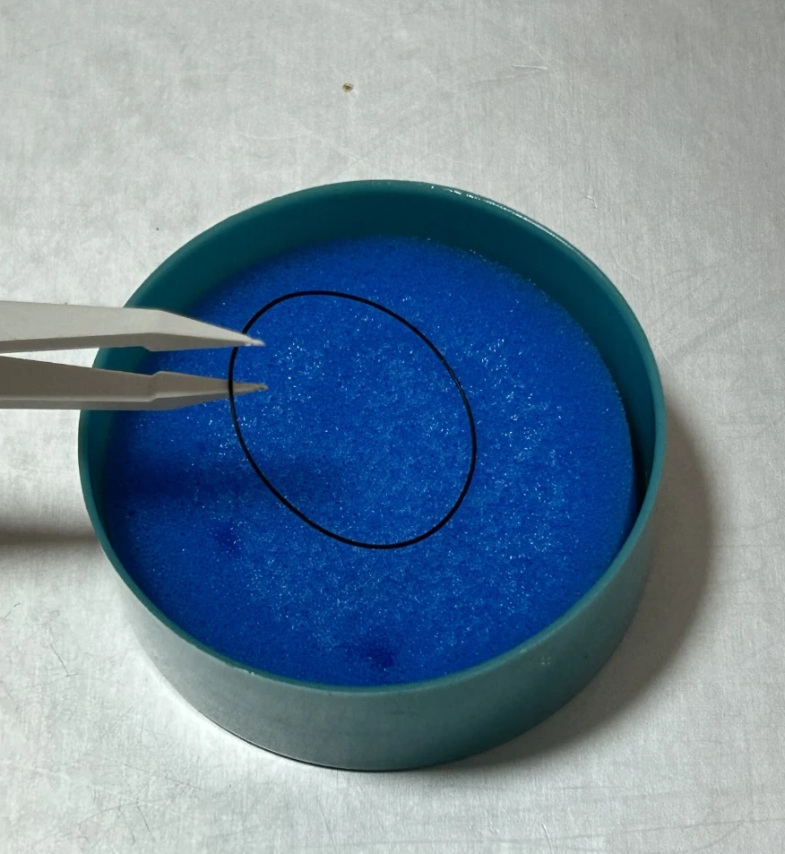 Caja de Grasa Lubricante para Reparación de Relojes, Herramienta Aplicadora de Grasa para Juntas Tóricas y Sellado de Juntas para Relojeros