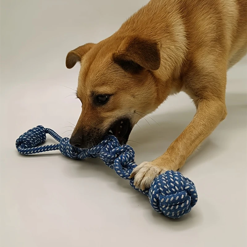 Thumbnail 3 - #31 Trending Durable Pet Chew Toys Right Now