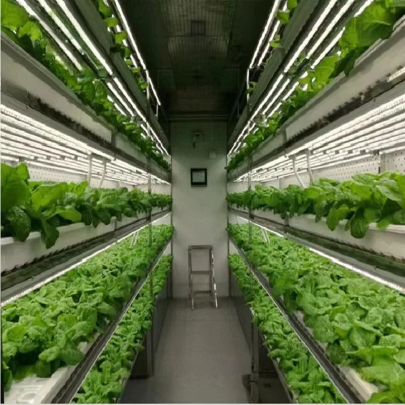 Индивидуальные сельскохозяйств – обзор и цена Hydroponic Farming Agriculture