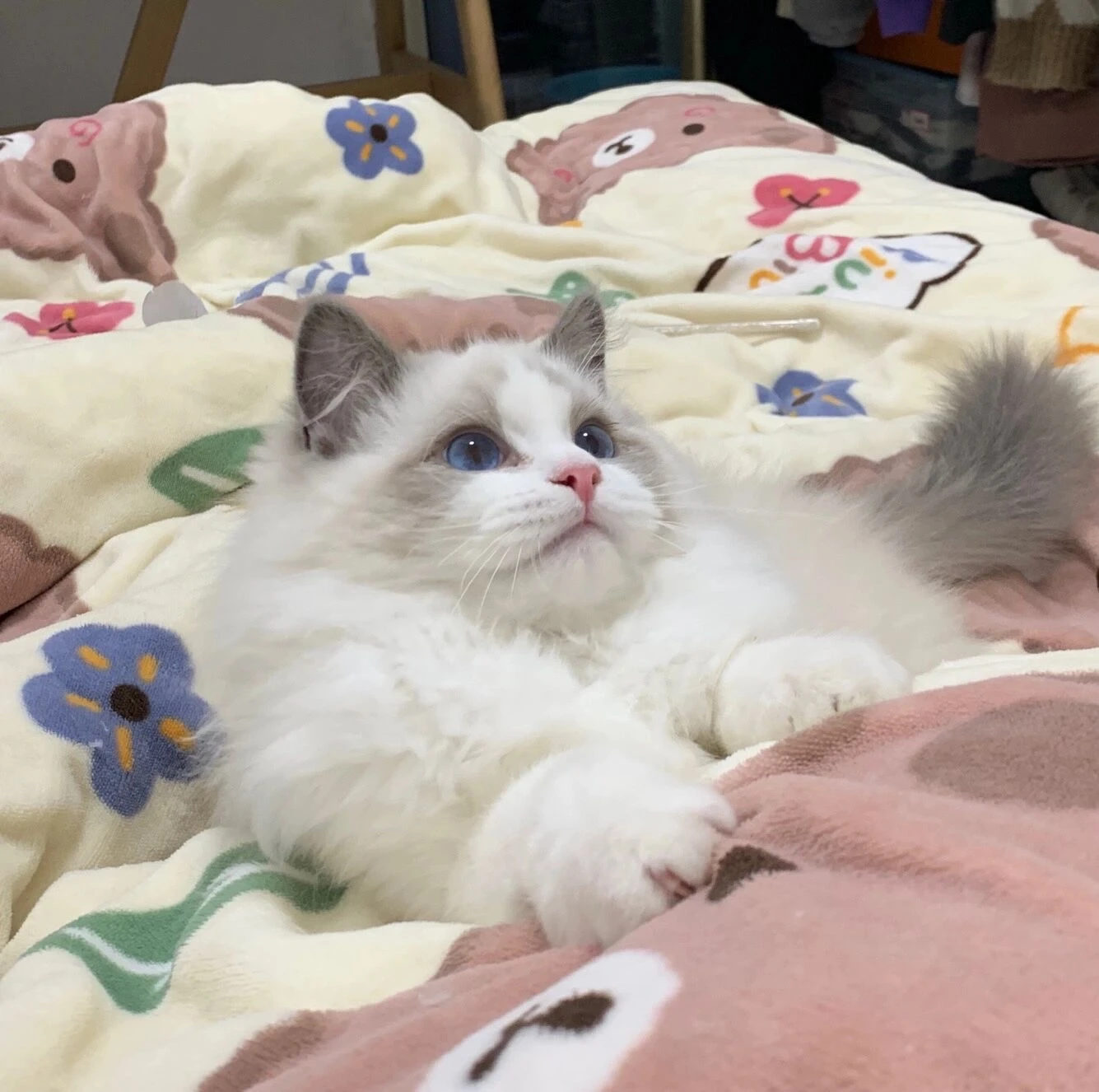 Espuma de esponja para para-choque dianteiro, para tamiya TT-01 TT-02 tt01 tt02 1/10 rc, peças de atualização de carro, acessórios de reposição