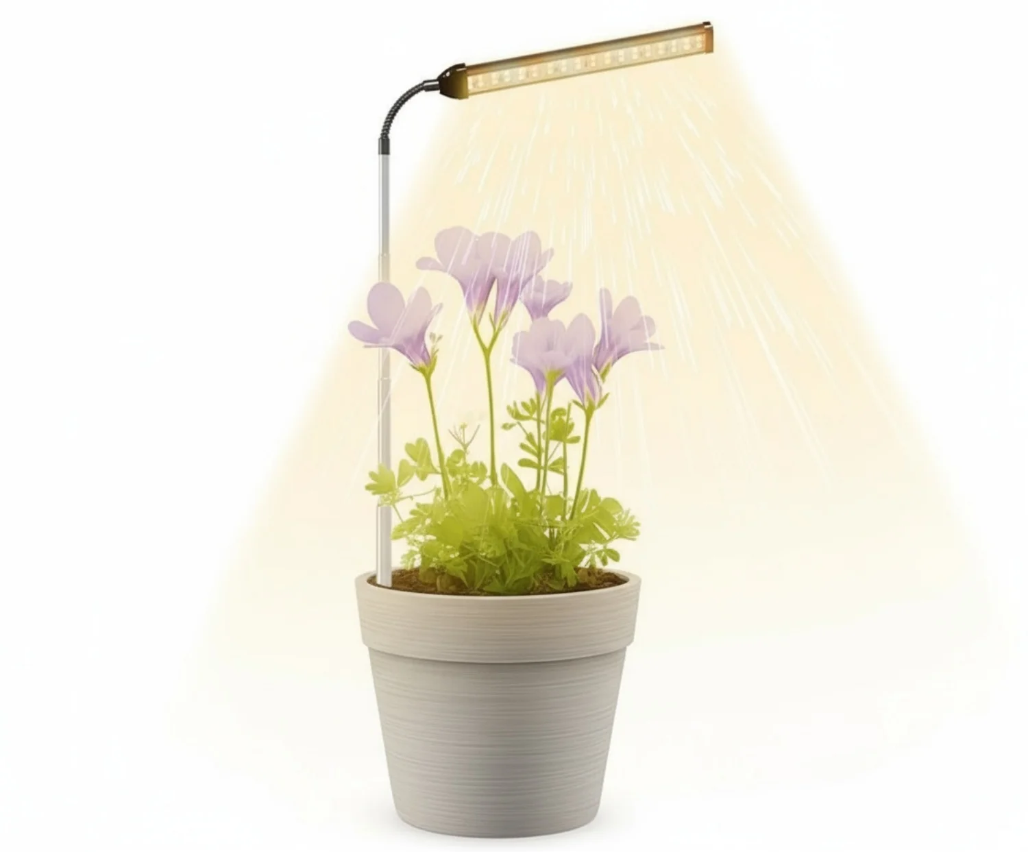 

3 цвета, светодиодная лампа для выращивания растений, USB 5 В, затемнение, управление временем, 4/8/12/18 часов, комнатная теплица, рассады растений, освещение для роста цветов