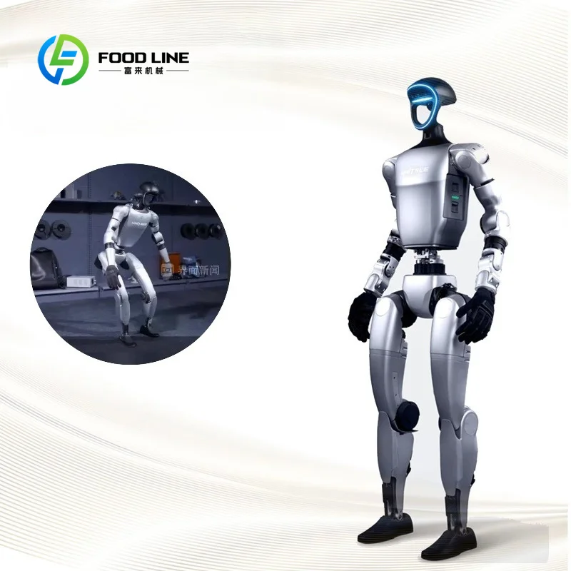 China Integrated Intelligent Humanoid Robot AI Home Care Industrial Factory Silver Customized aliexpress custom stickers