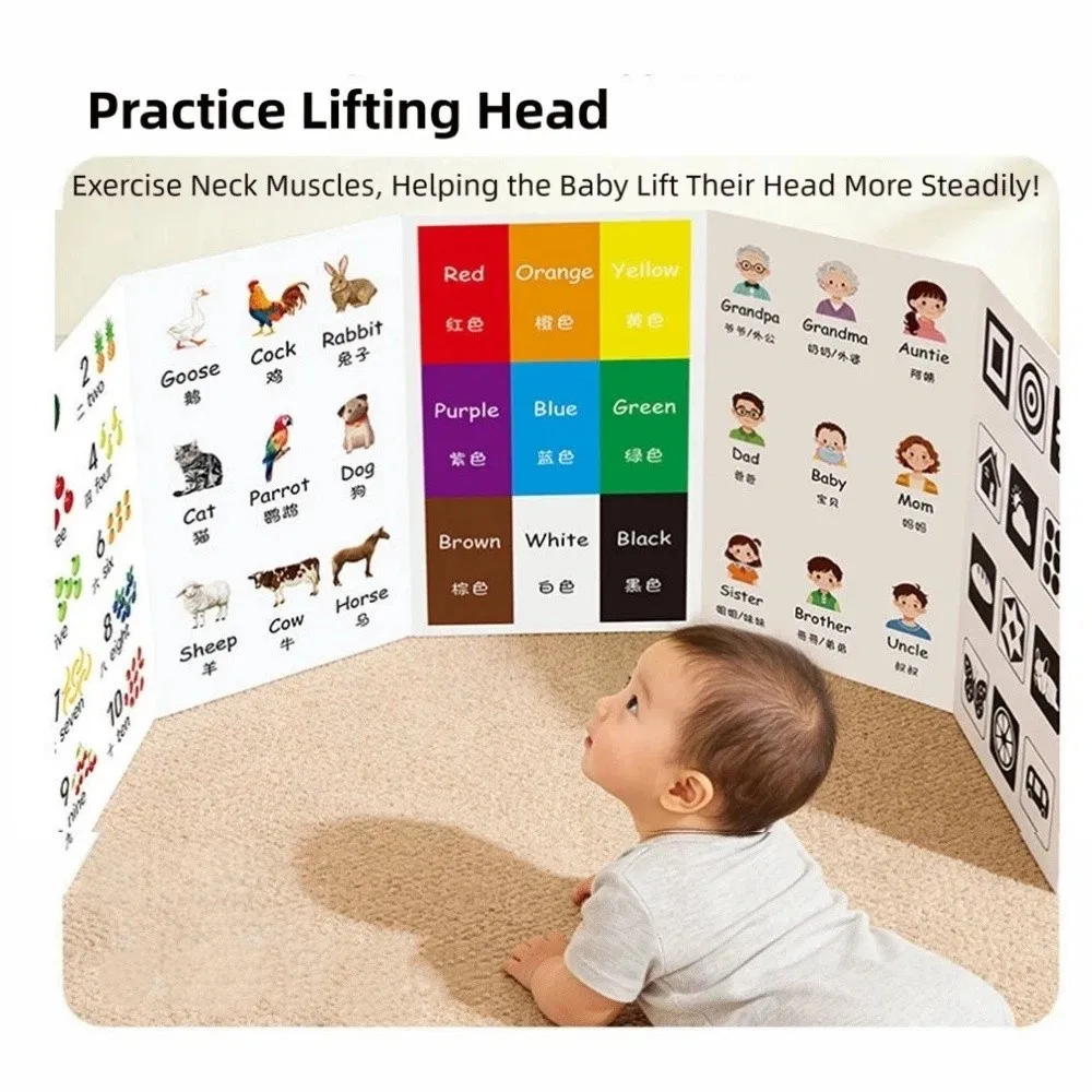 Creative Baby Cognitive Card Double Sided Vertical Screen Digital Animal Card Educational Content Digital Format