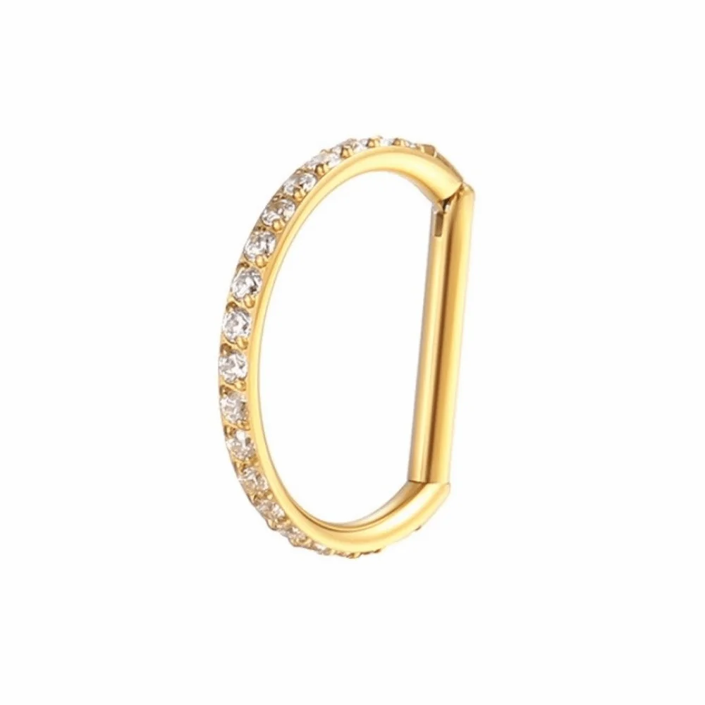 New F136 Titanium Nose Clicker Hoop 16G D Shape Hinged Closure Conch Helix Earring Silver Gold Body Jewelry Nose Piercing