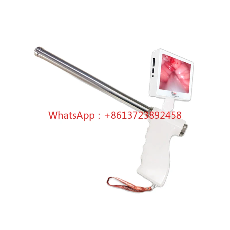 goat Visual Insemination   Veterinary Equipment artificial insemination   for goat