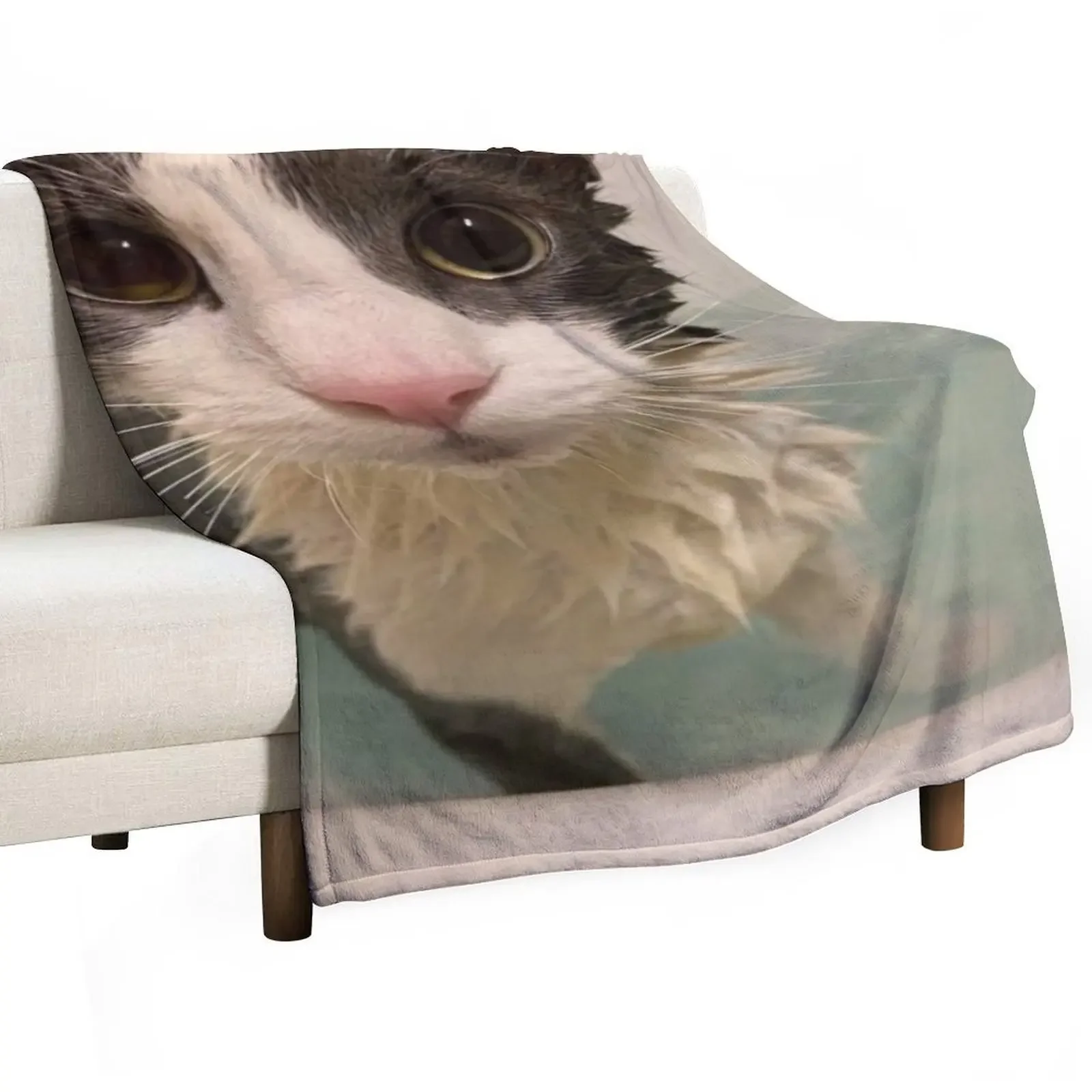 

Soggy Cat Throw Blanket Sleeping Bag For Decorative Sofa Bed Vintage Blankets