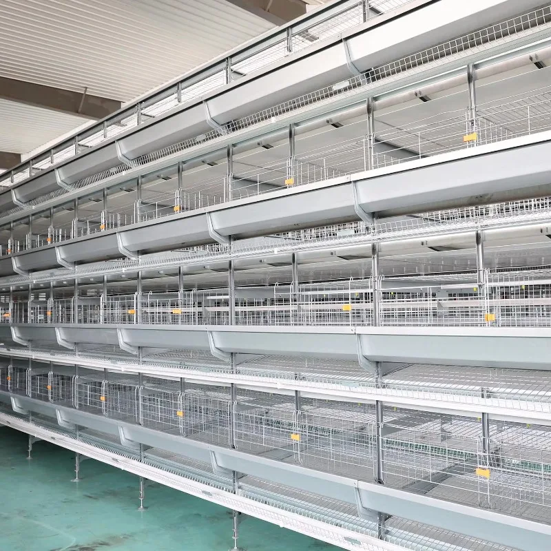 

Chicken Cage Manufacturer for Poultry Farming Equipment Broiler Raising System