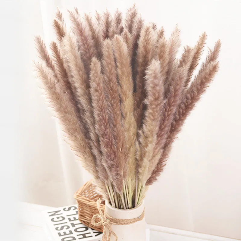 

15PCS Dried Reed Flower Arrangement Natural Pampas Grass for Party Backdrops Wedding Supplies Modern Home Office Decoration