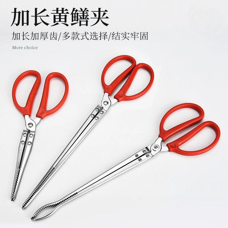 

Crab catching tools, anti-slip pliers, eel tongs, loach and eel catching and controlling fish, stainless steel