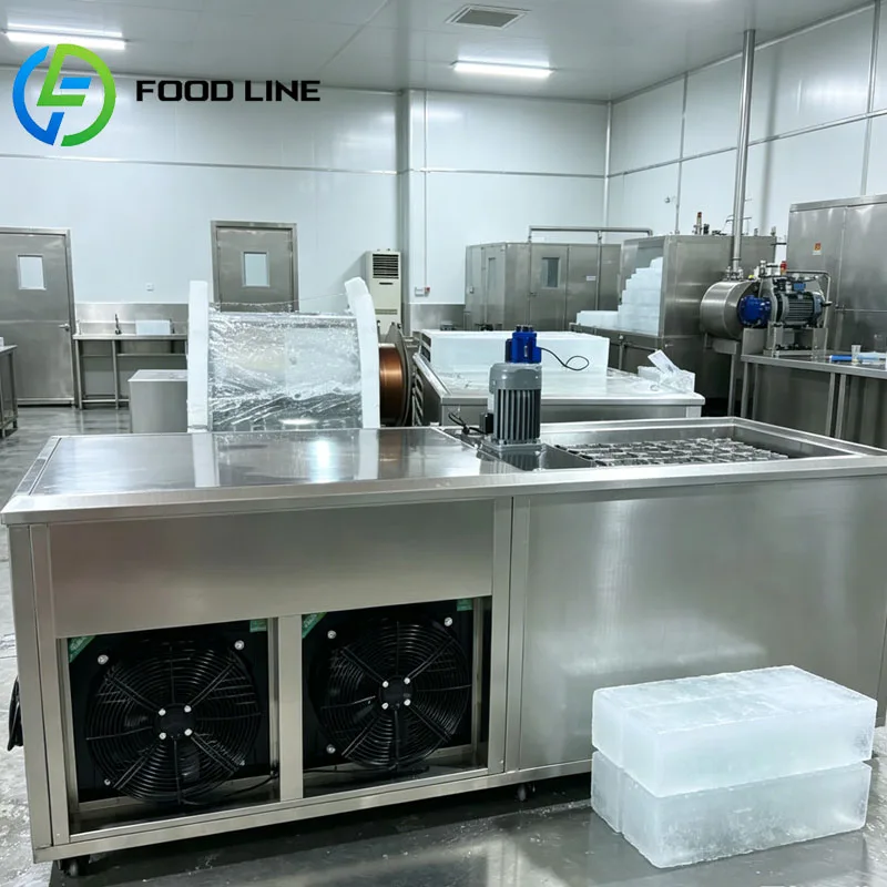 Automatic Industrial Ice Brick Maker Commercial Ice Block Machine for Food Processing Customized