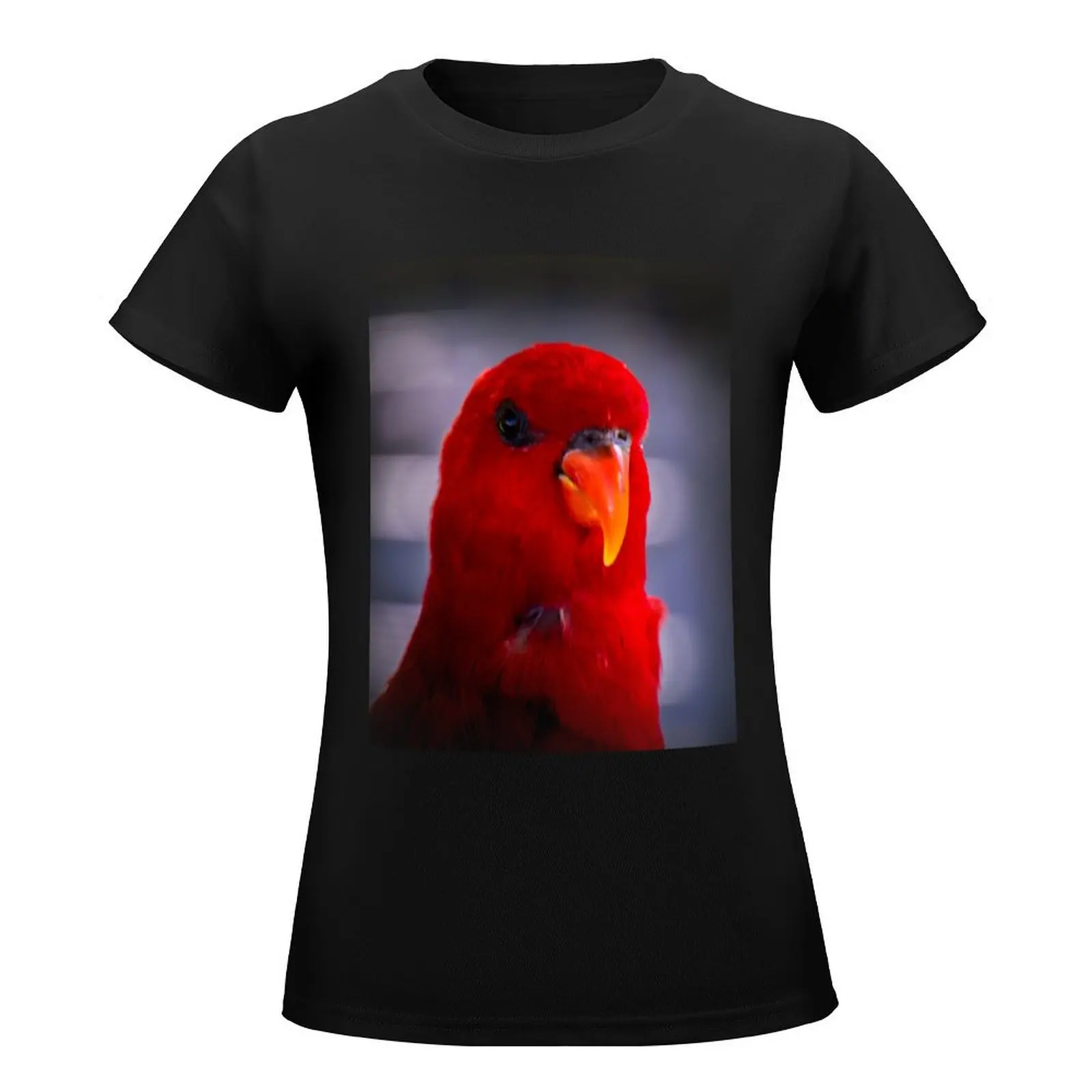 Red lory T-Shirt customizeds quick-drying Aesthetic clothing Women's t-shirt