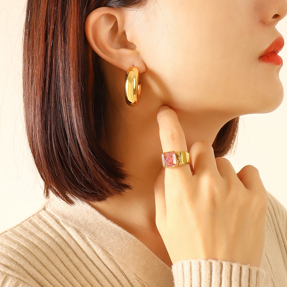 Ins Style Ornament U-Shaped Geometric Earrings for Women 2023 New Non-Fading Temperament Titanium Steel Gold-Plated Stud Earring