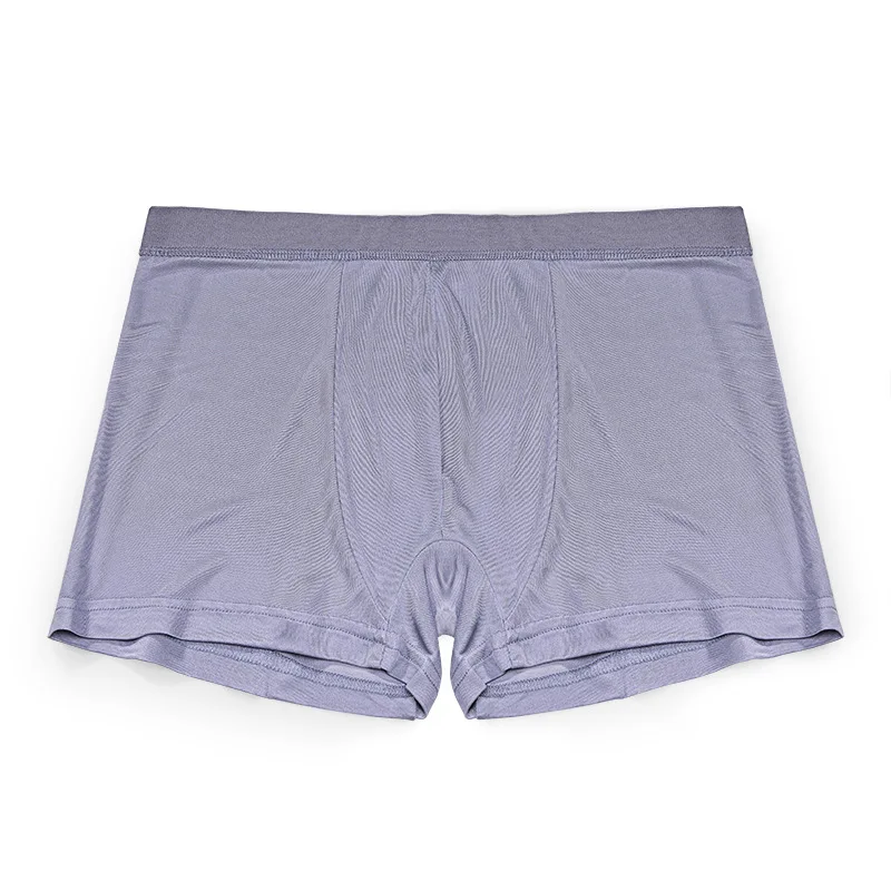 2023 New Real Silk Panties Men Silk Underwear man High Quality Brand Natural Fabric Underpants