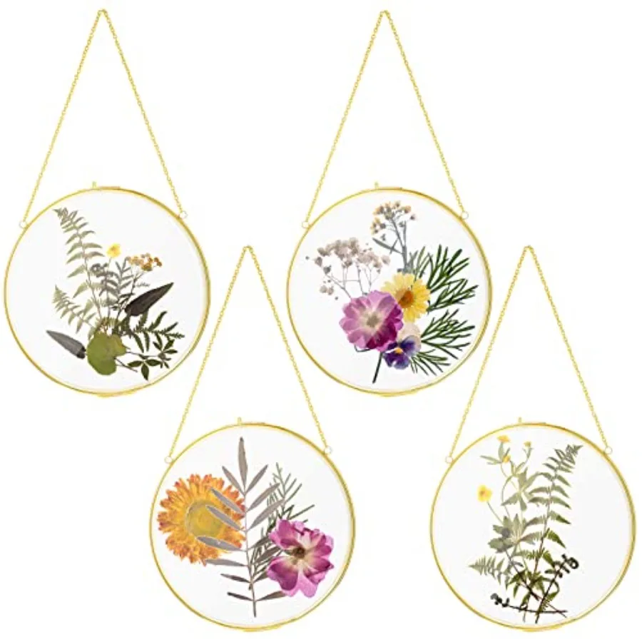 

Pcs Double Glass Frame for Pressed Flowers Round Hanging Herbarium Floating Flower Press Frame Clear DIY Vintage Artwork Displa