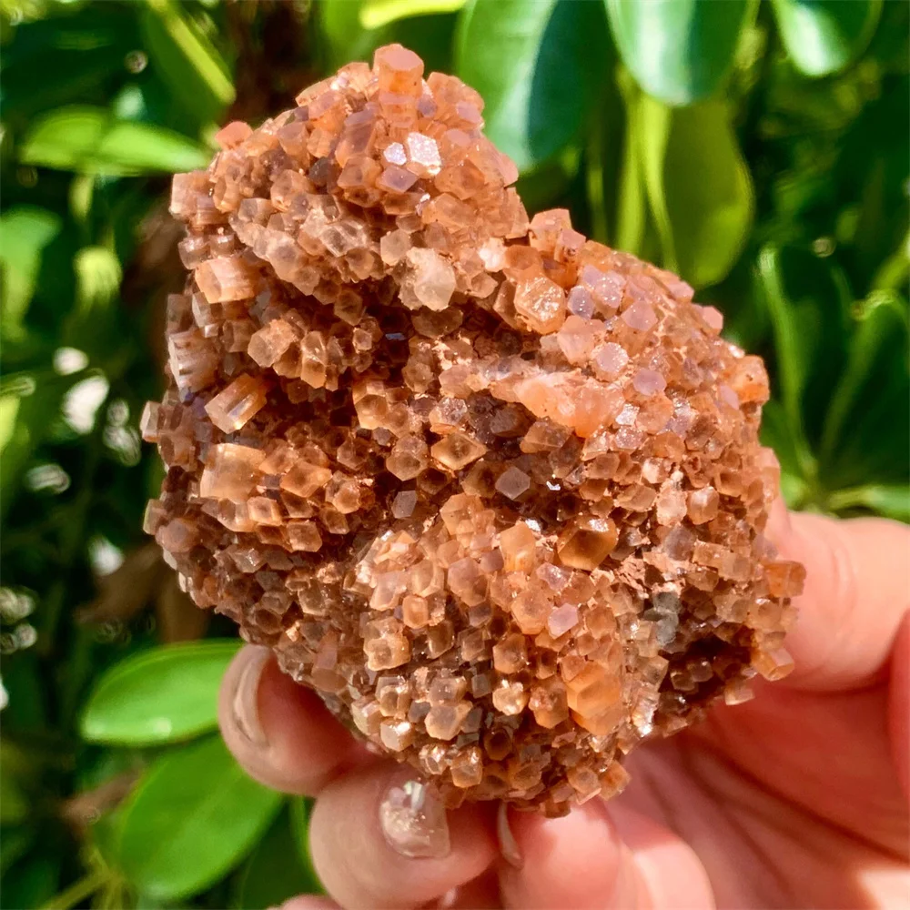 

Natural Moroccan Aragonite Star Cluster, Crystal Healing Gemstone, Decorative Demagnetization, Divination Meditation