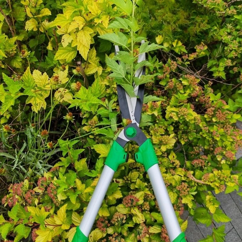 Tijeras grandes para jardinería, flores de jardín, valla para césped, recorte de ramas de árboles, cortauñas para flores y césped