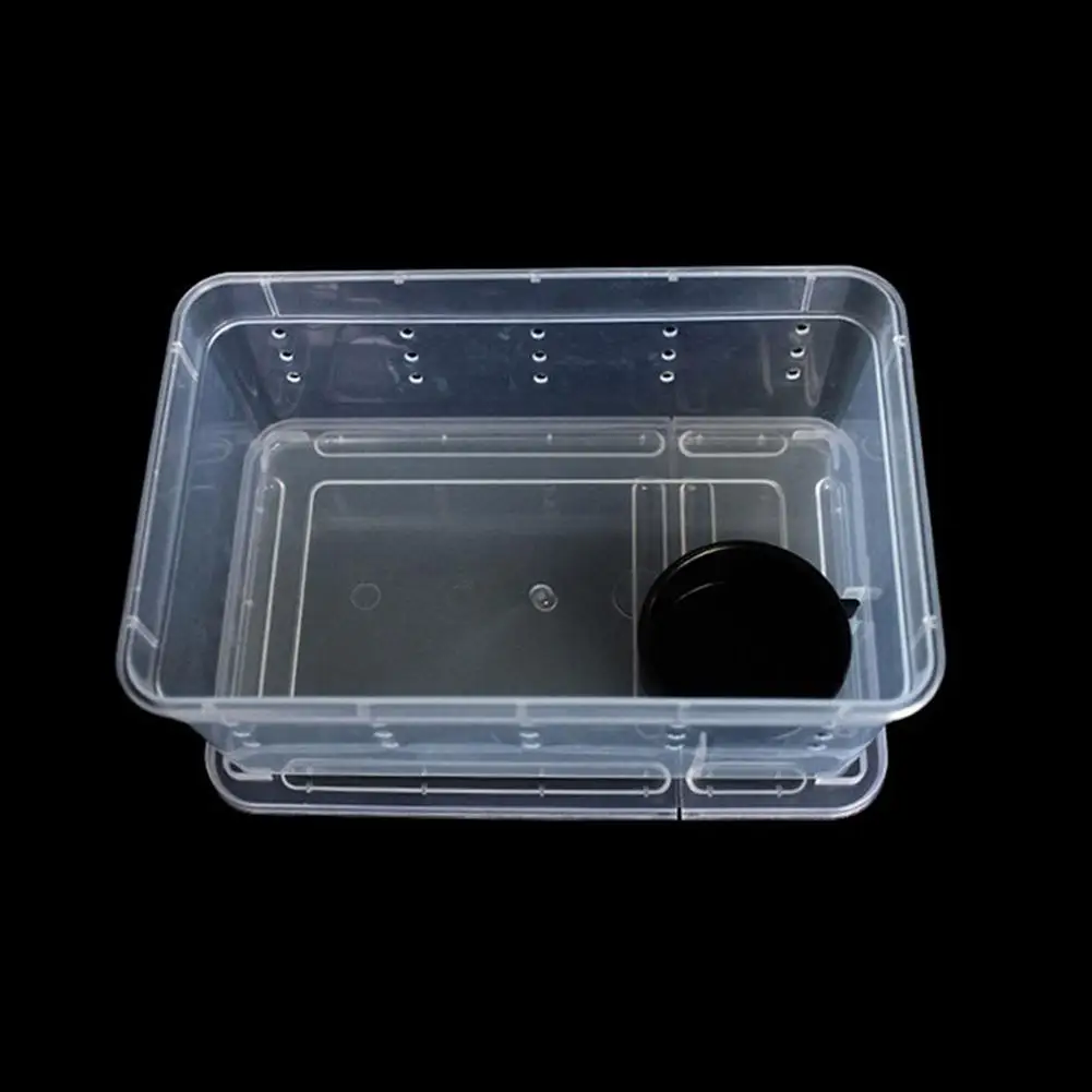 Small Pet Reptiles Living Box Reptile Terrarium Habitat Scorpion Spider Ants Lizard Breeding Case Hatching Container Rearing Box