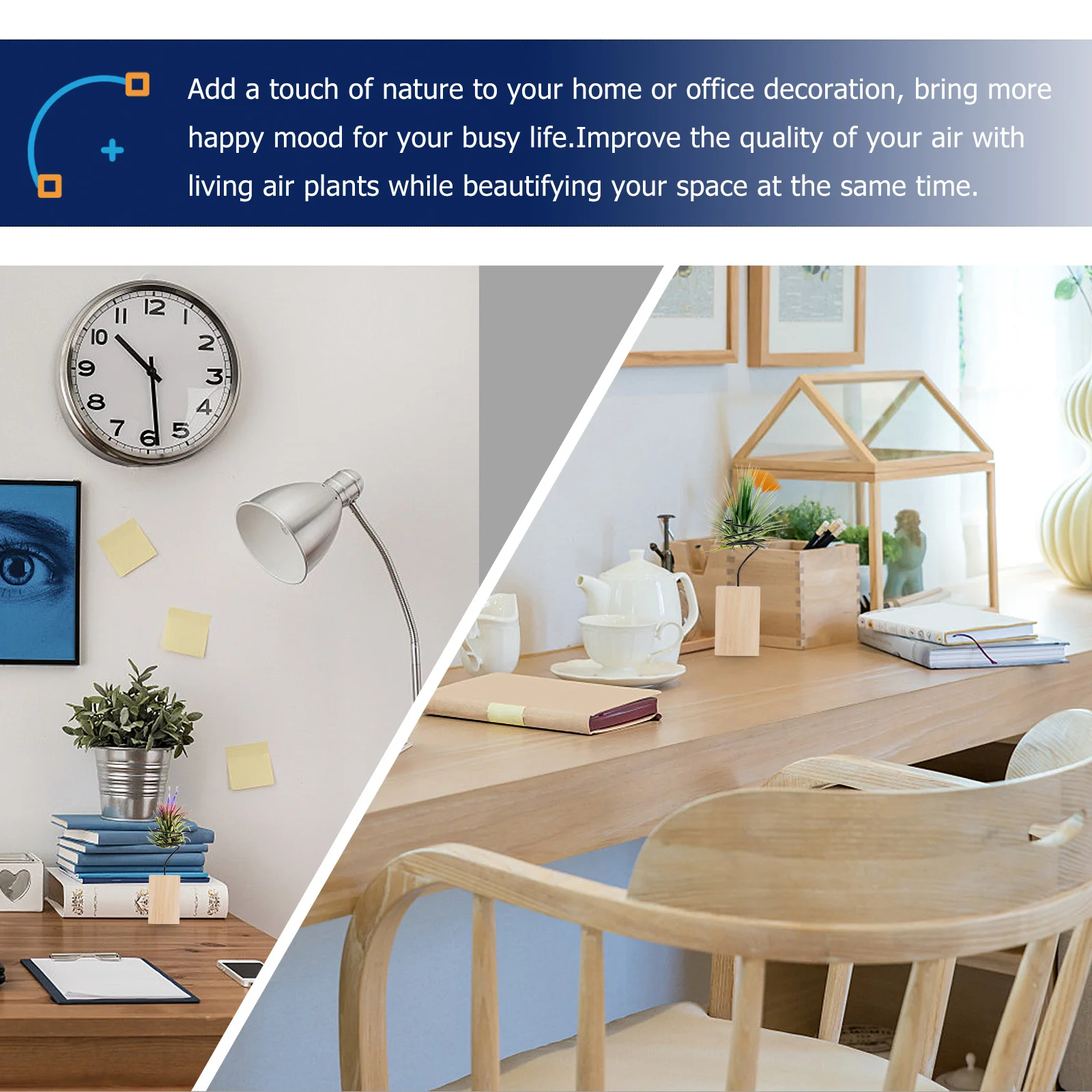 

5Pcs Plant Holder Stand Tabletop Display Rack Planter Decorative for Home Office Gift Air Plant Stand