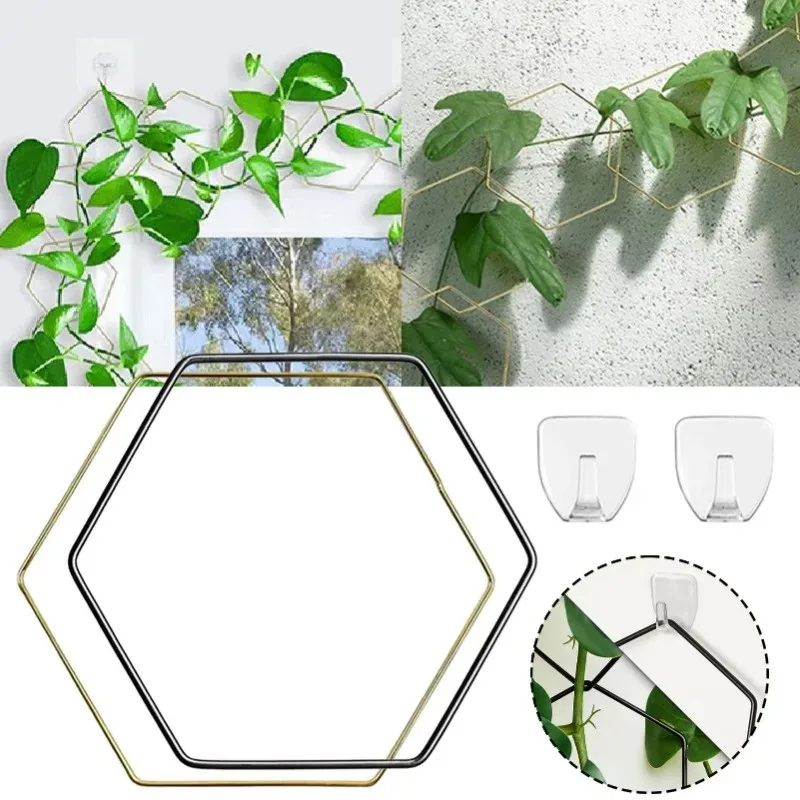 new design 18pcs hexagonal plant trellis with 6 hooks sturdy iron chain support for indoor potted climbing plants view 2