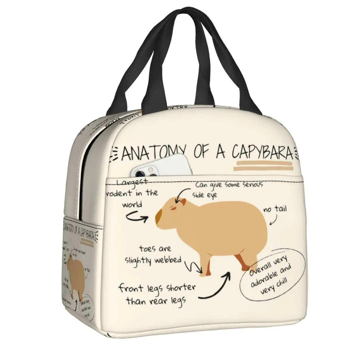 Anatomy Of A Capybara Thermal Insulated Lunch Bag Women Resuable Lunch Container for Kids School Children Storage Food Box