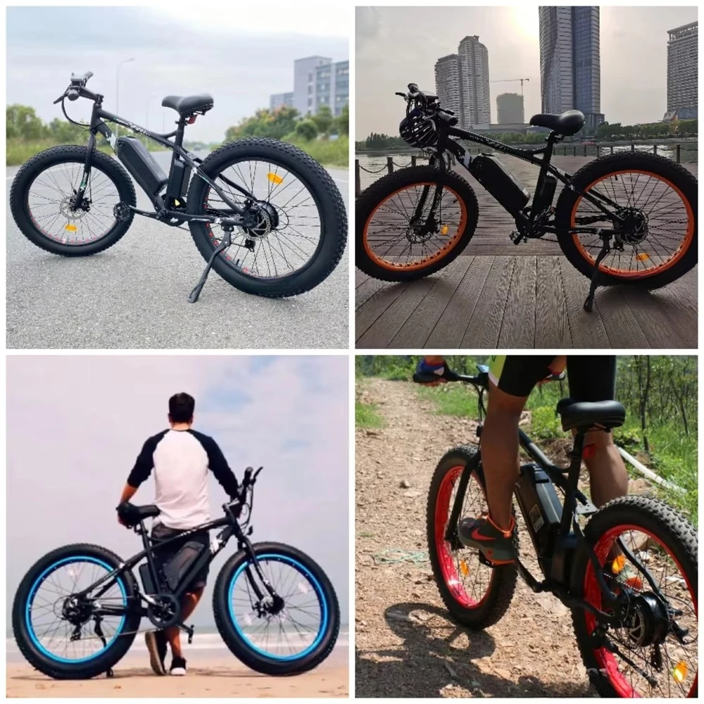 Factory Direct Sale Fat Tire Beach Ebike Cruiser With PAS System