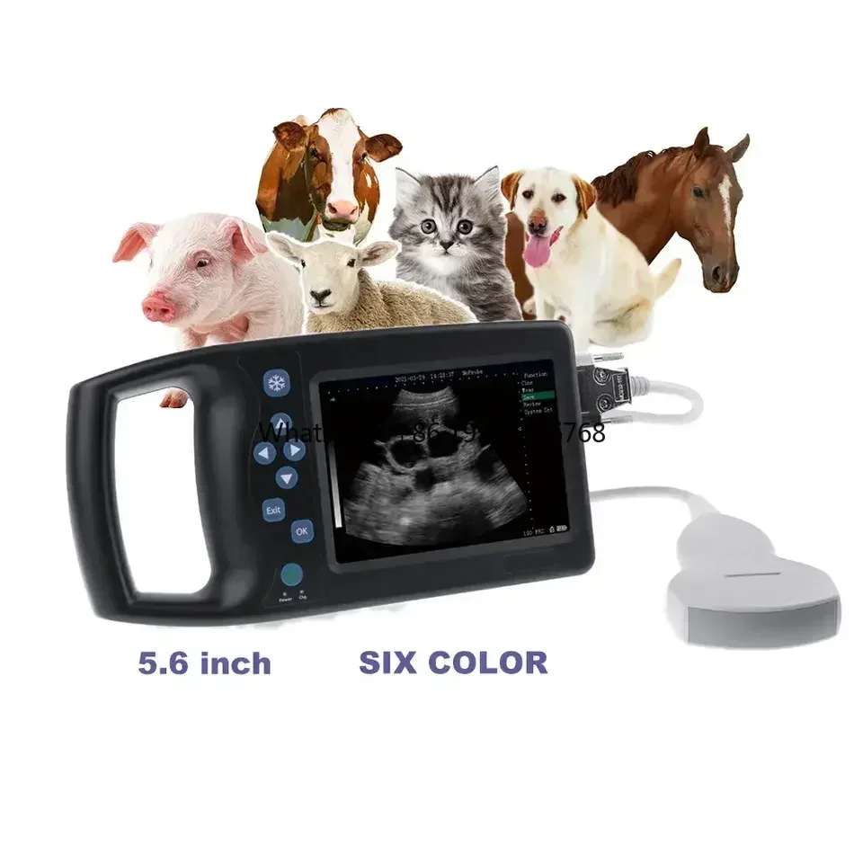 

B Mode Portable Handheld Vet Scanner Veterinary Ultrasonido For Farm Pig And Cow Animal factory