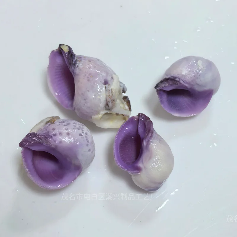 500g Coralliophila violacea Hermit Crab Replacement Shell Natural Conch Shell Painting Aquarium Landscaping Decoration Material