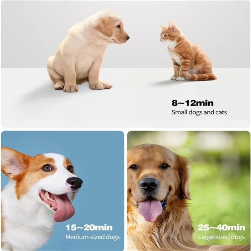 살롱 개 손질 송풍기 애완 동물 건조기 강아지 공기 건조 손잡이 제어 기능이있는 고속 전기 Canine Beauty Clean Commercial