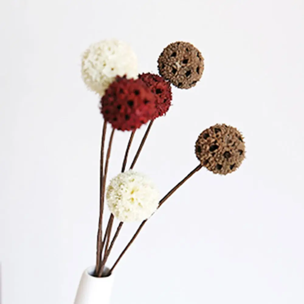 5pcs/lot Rustic Wedding Accessories DIY Table Decor Home Decoration Dried Flowers Dried Fruit