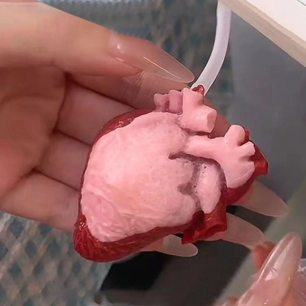 Giocattolo a forma di cuore Fiore cerebrale simulato Giocattolo di scherzo orribile di Halloween Allevia l'ansia Sfiato Stress Giocattolo di organo finto