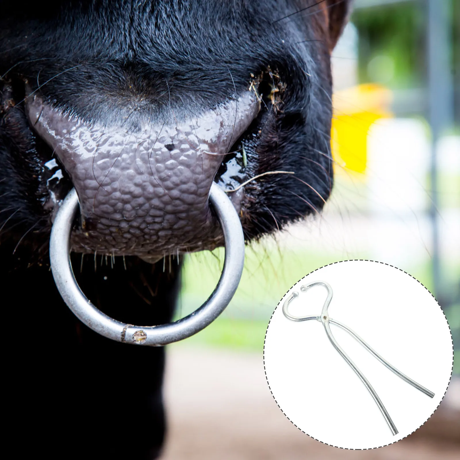 

Stainless Steel Livestock Nose Plier Cow Bull Nose Piercing Tool Durable Safe Farm Equipment Piercing Tool for Cattle