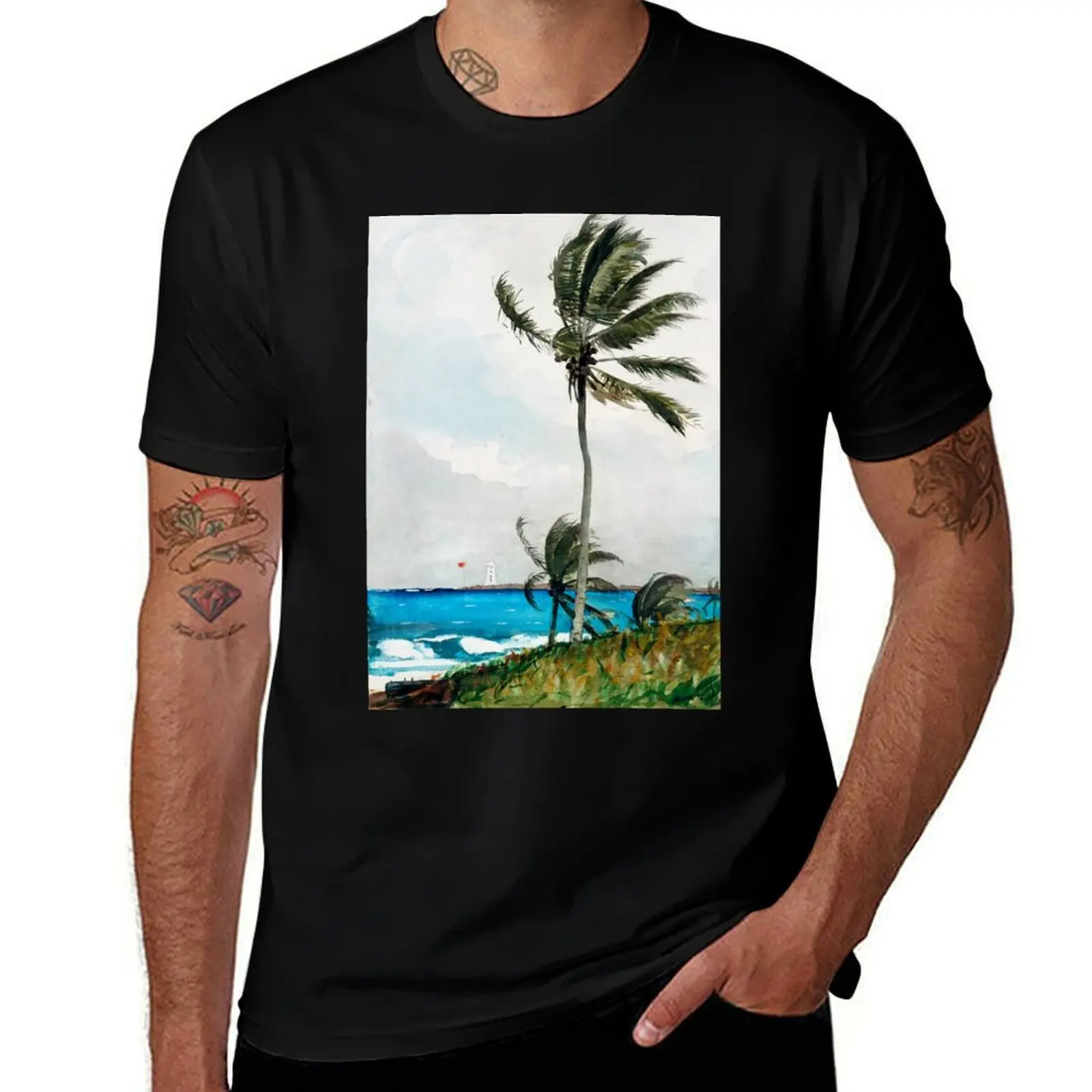 

Palm Tree Nassau T-Shirt Big Size Daily Wear T-Shirt