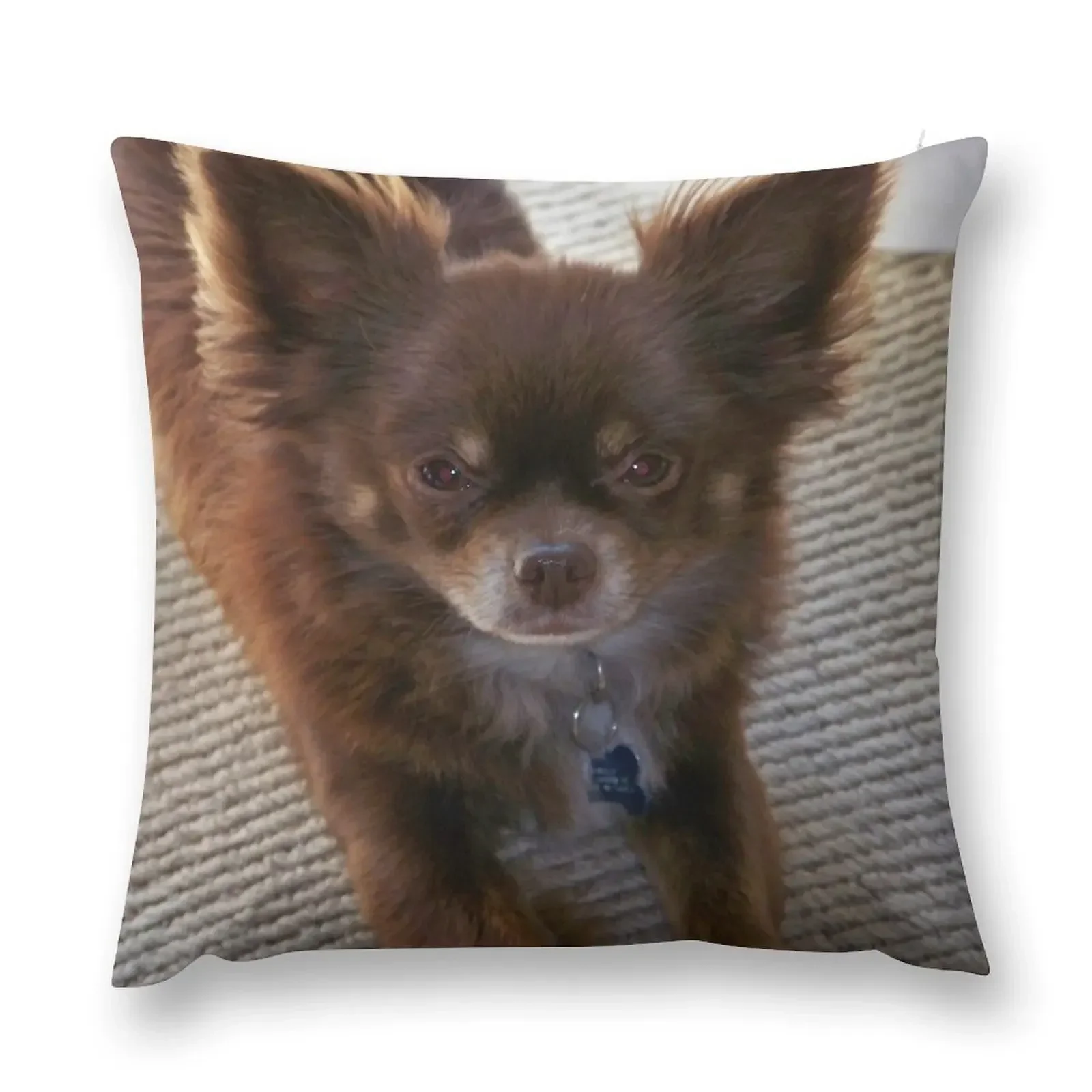 Chocolate Long Coat Chihuahua Throw Pillow bed pillows Christmas Covers For Cushions pillow