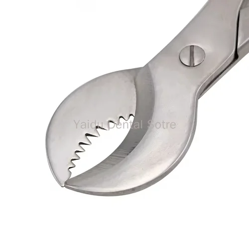 Imagen 2 del producto Tijeras para yeso Dental, herramientas de laboratorio para dentista, fórceps grandes de acero inoxidable, instrumento, Material de tijeras para yeso, 2 uds.