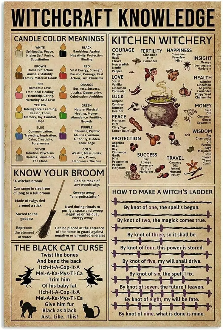 Pozino Tin Sign Witchcraft Knowledge Fun World Education Science Classroom Infographic Great Retro Gifts and Decorative