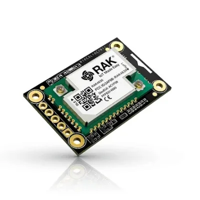 Nordic nRF52840 BLE Core Module for LoRaWAN with LoRa SX1262 | RAK4631 / RAK4631-R| RAKwireless