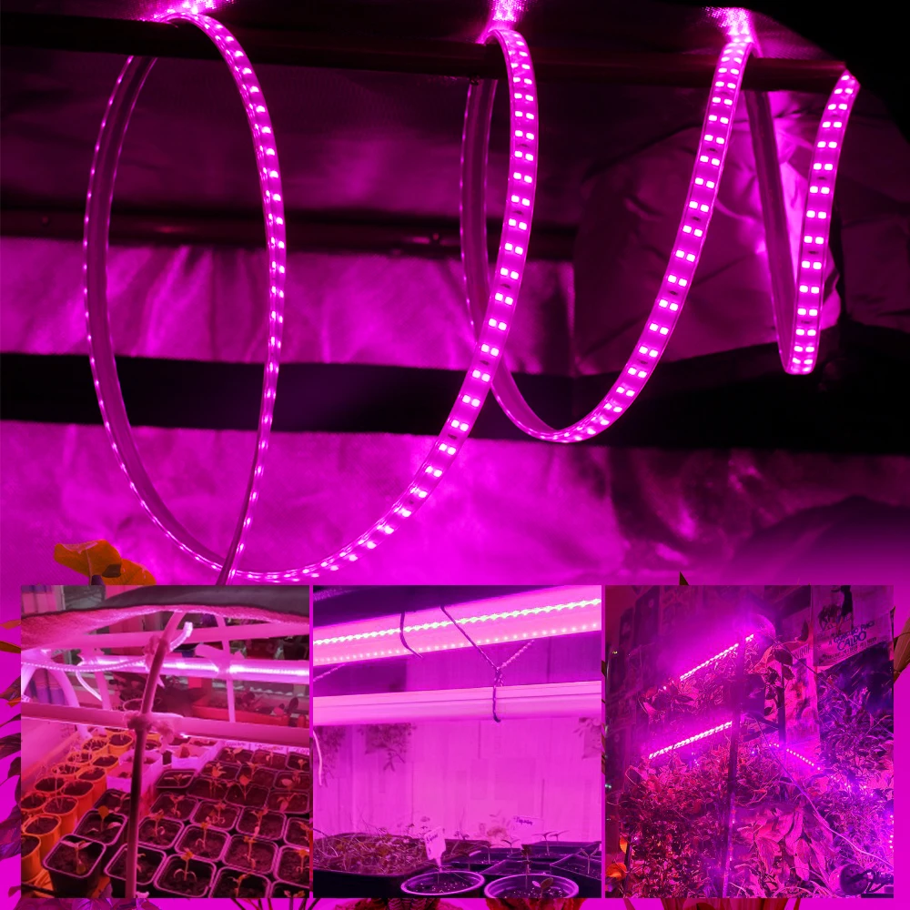 Oświetlenie LED do uprawy 2835 Chip wodoodporna taśma LED o pełnym spektrum 220 V 180 diod LED/M DIY lampy do uprawy roślin szklarniowych