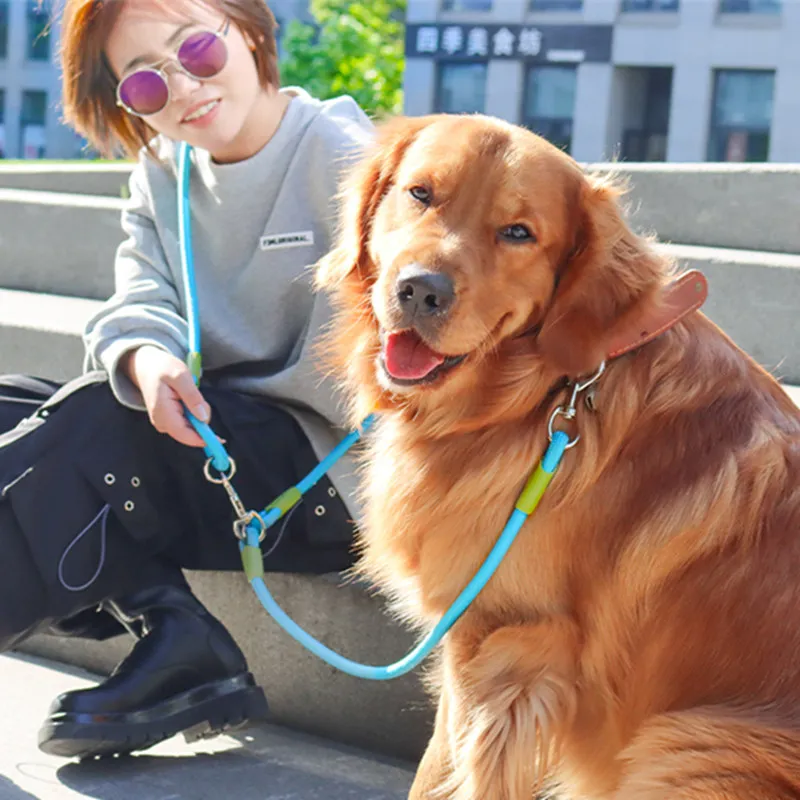 Hands-Free Adjustable Dog Leash 4