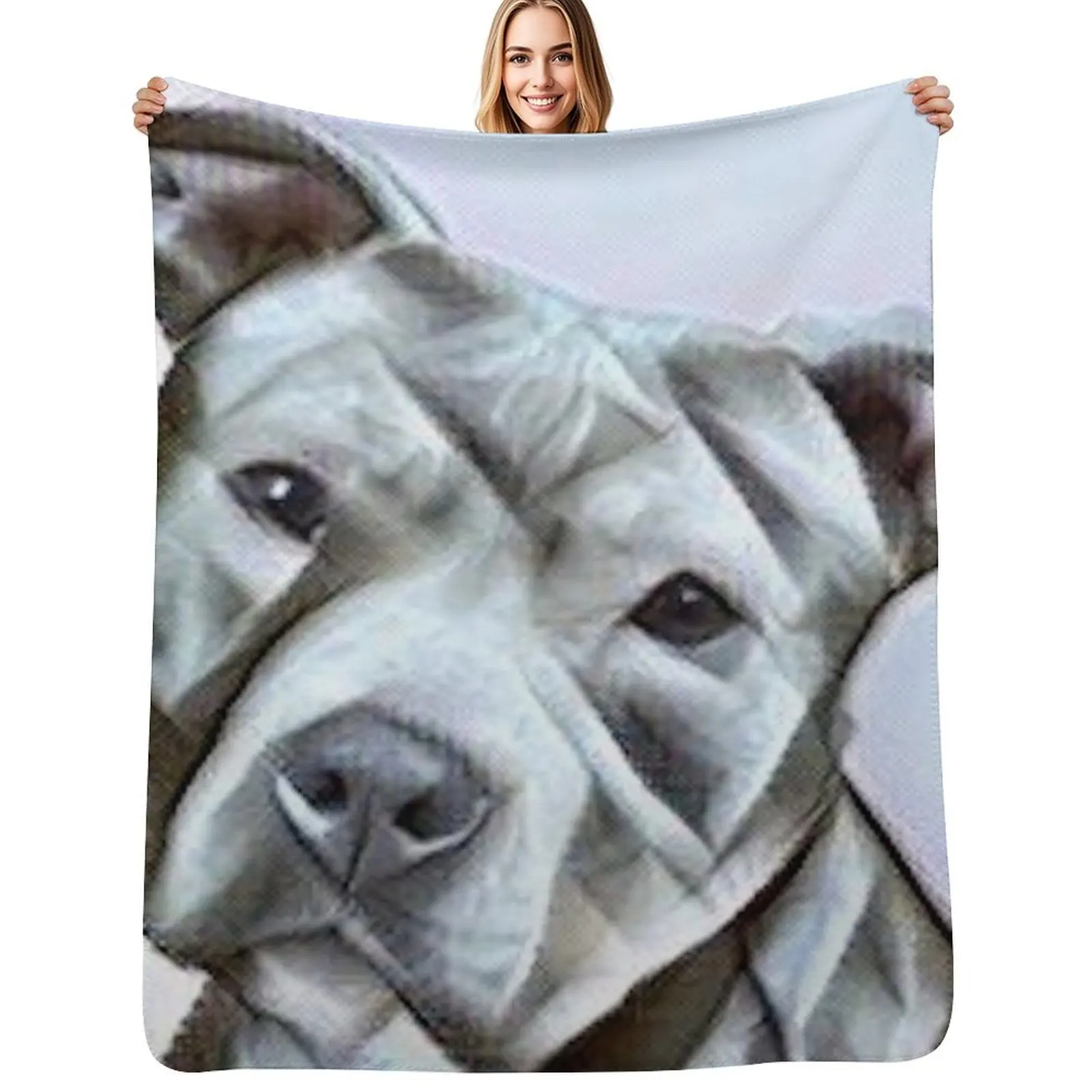 

Pitbull dog lover, a beautiful design of a Blue Nose Pit Bull of this gentle loyal breed Throw Blanket Softest Blankets