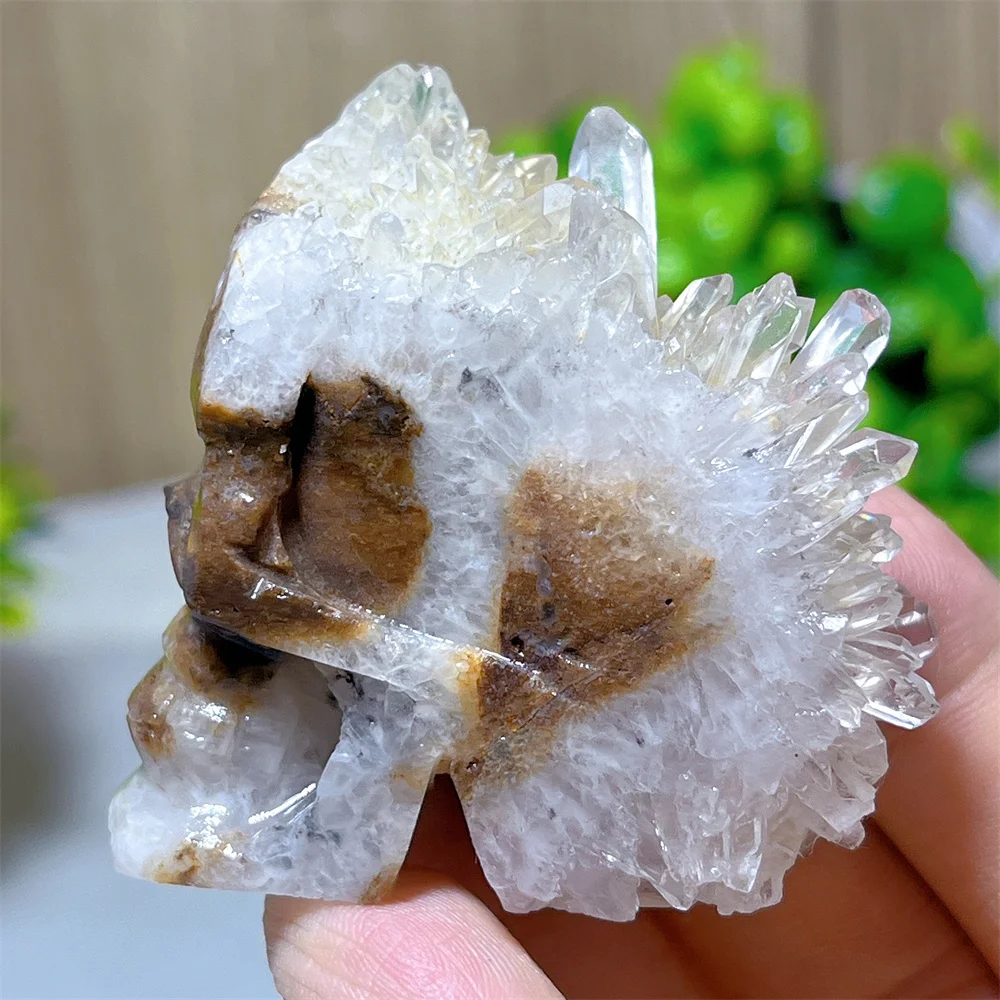 Crystal Natural Skull Cluster Stone Quartz Healing Gemstone Mineral Witchcraft Ornaments Reiki Decoration Energy Room Gift Home