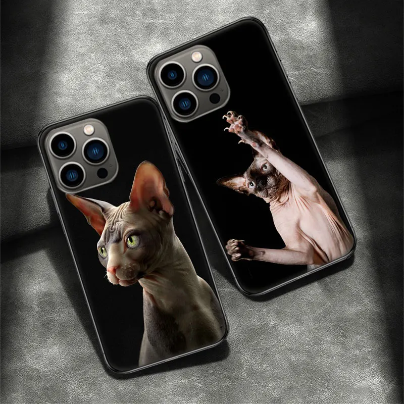 Lavaza Sphynx Sphinx Cat Phone Case For Apple Iphone 16 15 Plus Soft 13 12 Mini Cover 11 14 Pro Max Capa X XS XR 8 7 Shell Coque
