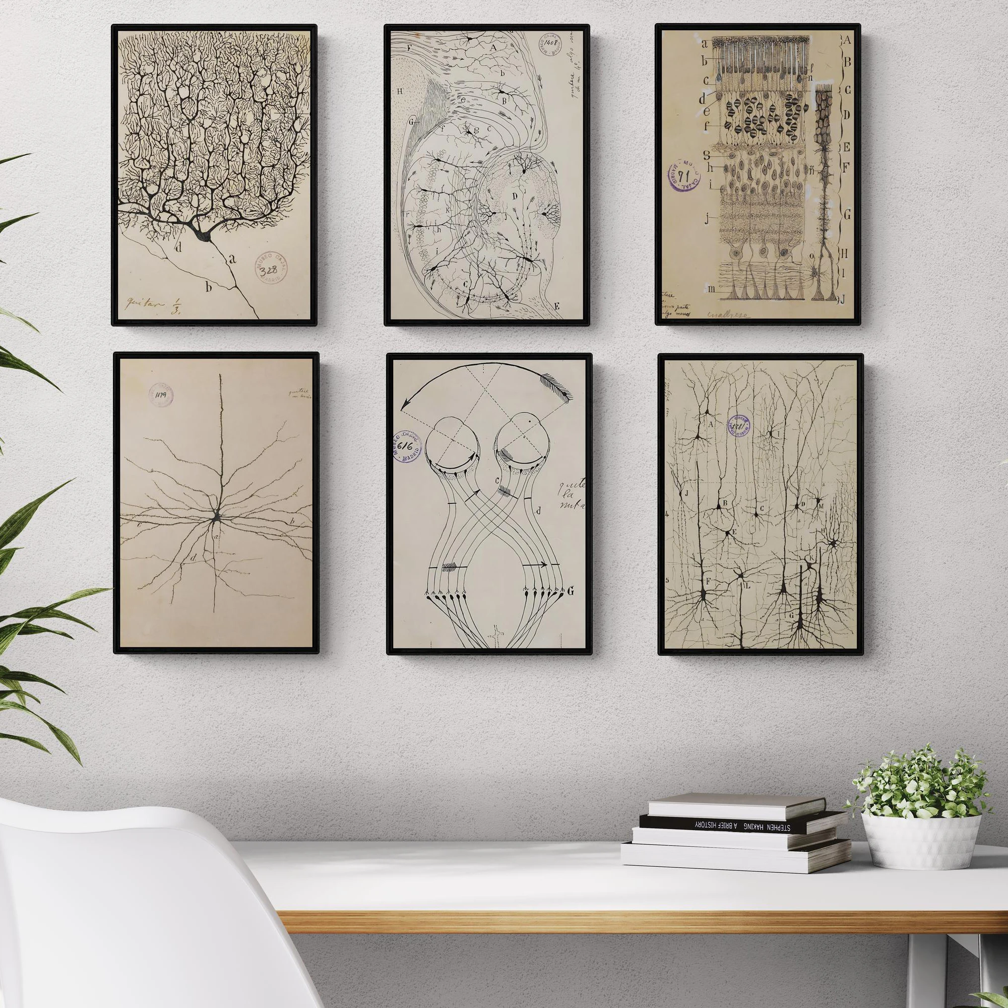 Set Ramon Y Cajal Neuron Canvas Prints Dark Academia Wall Art Brain Anatomy Vintage Neurology Illustration Office Study Decor