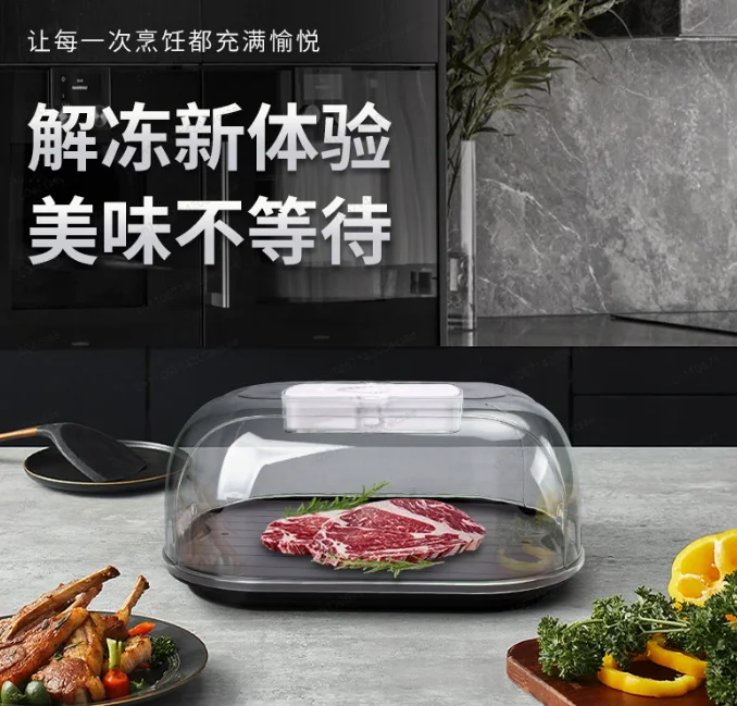 

Aluminum Defrosting Tray Thawing Tool TooL